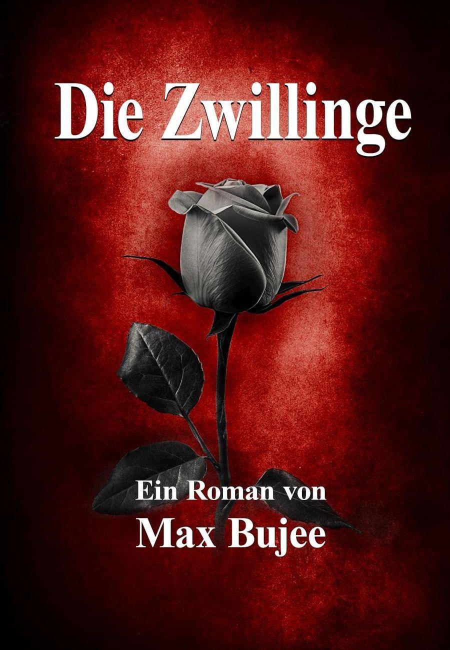 Die Zwillinge - Max Bujee